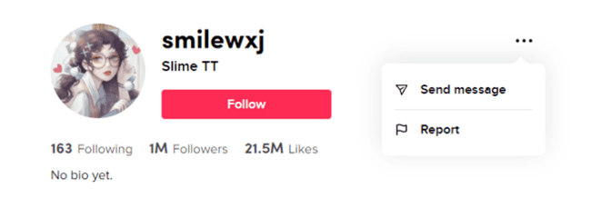 Profil d'utilisateur TikTok