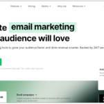 Page d'accueil du service d'email marketing MailerLite