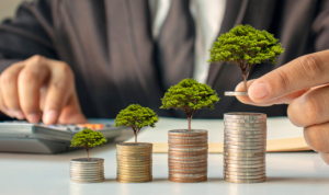 Types d'investissements