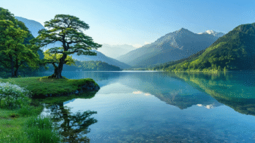 découvrez la magie des paysages naturels avec nature et découverte. plongez dans un monde d'émerveillement à travers nos explorations, nos conseils et nos idées pour profiter pleinement de la beauté de la nature.